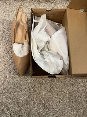 Pointed Slingback Mules in Nude